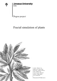 Fractal Simulation of Plants