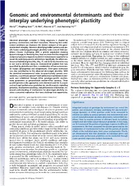 Genomic and Environmental Determinants and Their Interplay Underlying Phenotypic Plasticity