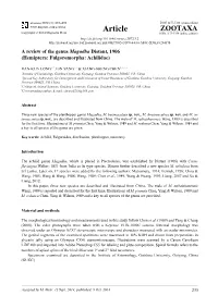 A Review of the Genus Magadha Distant, 1906 (Hemiptera: Fulgoromorpha: Achilidae)
