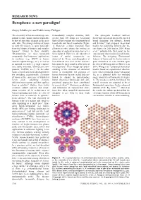 Borophene: a New Paradigm!