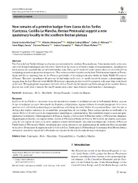New Remains of a Primitive Badger from Cueva De