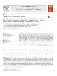 The Hallmarks of Fibroblast Ageing