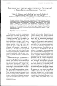 (Isoetaceae) in Texas Based on Megaspore Features