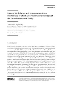 Roles of Methylation and Sequestration in the Mechanisms of DNA Replication in Some Members of the Enterobacteriaceae Family