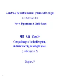 9.14 Lecture 29: Core Pathways of the Limbic System, and Remembering