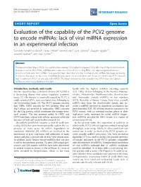 Lack of Viral Mirna Expression in an Experimental Infection