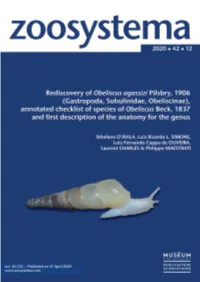 Rediscovery of Obeliscus Agassizi Pilsbry, 1906 (Gastropoda, Subulinidae, Obeliscinae), Annotated Checklist of Species of Obelis