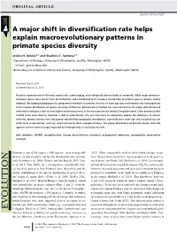 A Major Shift in Diversification Rate Helps Explain Macroevolutionary