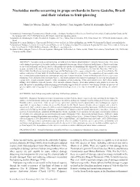 Noctuidae Moths Occurring in Grape Orchards in Serra Gaúcha, Brazil and Their Relation to Fruit-Piercing