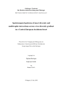 Spatiotemporal Patterns of Insect Diversity and Multitrophic Interactions Across a Tree Diversity Gradient in a Central European Deciduous Forest