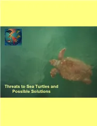 Threats to Sea Turtles and Possible Solutions (.Pdf)