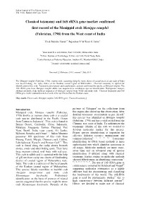 Classical Taxonomy and 16S Rrna Gene Marker Confirmed First Record of the Menippid Crab Menippe Rumphii (Fabricius, 1798) from the West Coast of India