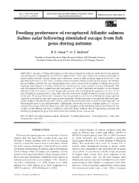 Feeding Preference of Recaptured Atlantic Salmon Salmo Salar Following Simulated Escape from Fish Pens During Autumn