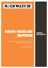 Geology, Fossils and Mapperton
