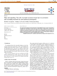 Mast Cell Signaling: the Role of Protein Tyrosine Kinase Syk, Its Activation and Screening Methods for New Pathway Participants