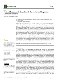 Varietal Response to Sour Bunch Rot in Polish Grapevine Genetic Resources
