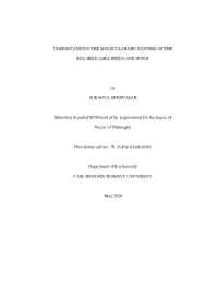 Understanding the Molecular Mechanisms of The