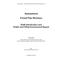 Assessment Report Was Created to Summarize 25 Individual Specialist Reports
