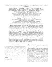 Site-Specific Structure at Multiple Length Scales in Kagome Quantum