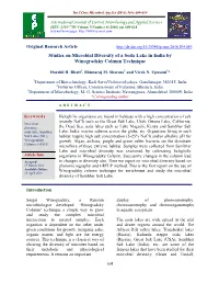Studies on Microbial Diversity of a Soda Lake in India by Winogradsky Column Technique