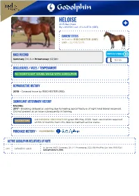 Bay Mare Foaled 2015