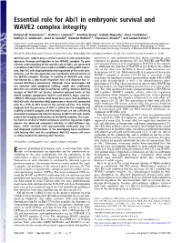 Essential Role for Abi1 in Embryonic Survival and WAVE2 Complex Integrity