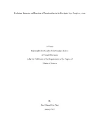 Evolution, Structure, and Function of Phenoloxidase in the Pea Aphid Acyrthosiphon Pisum