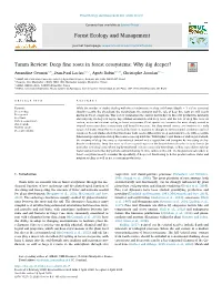 Tamm Review Deep Fine Roots in Forest Ecosystems Why Dig Deeper?