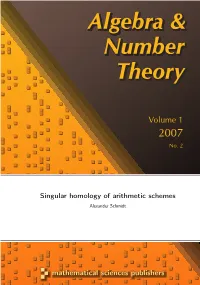 Singular Homology of Arithmetic Schemes Alexander Schmidt