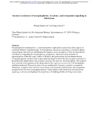 Ancient Coexistence of Norepinephrine, Tyramine, and Octopamine Signaling in Bilaterians