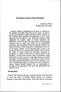 The Picture Theory of the Phantasm Introduction Central to St, Thomas