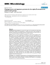 Phylogenomics and Signature Proteins for the Alpha Proteobacteria and Its Main Groups Radhey S Gupta* and Amy Mok