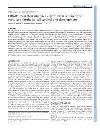 UBIAD1-Mediated Vitamin K2 Synthesis Is Required for Vascular Endothelial Cell Survival and Development Jeffrey M