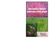 NM Thistle Identification Guide