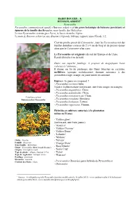 Baies... 8. Buisson-Ardent Gui Houx