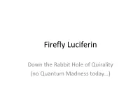 Firefly Luciferin