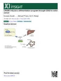 LIN28B Induces a Differentiation Program Through CDX2 in Colon Cancer