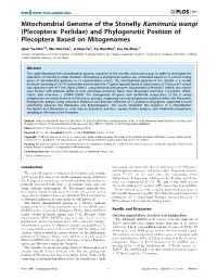 Mitochondrial Genome of the Stonefly Kamimuria Wangi (Plecoptera: Perlidae) and Phylogenetic Position of Plecoptera Based on Mitogenomes