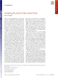 Sampling the Insects of the Amber Forest COMMENTARY Derek E