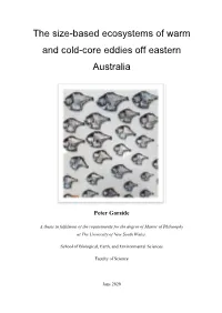 The Size-Based Ecosystems of Warm and Cold-Core Eddies Off Eastern Australia