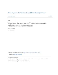 Vegatative Architecture of Desiccation-Tolerant Arborescent Monocotyledons Stefan Porembski Universität Rostock