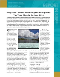 Progress Toward Restoring the Everglades
