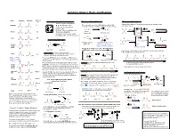 Summary Sheet 2: Enols and Enolates