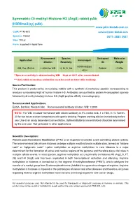 Symmetric-Di-Methyl-Histone H3 (Arg8) Rabbit