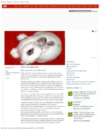 Down the Rabbit Hole – Eatocracy - CNN.Com Blogs