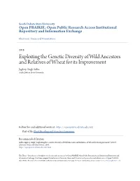 Exploiting the Genetic Diversity of Wild Ancestors and Relatives of Wheat for Its Improvement Jagdeep Singh Sidhu South Dakota State University