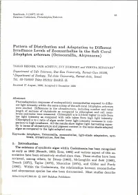 Pattern of Distribution and Adaptation to Different Lrradiance Levels of Zooxanthellae in the Soft Coral Litophyton Arboreum (Octocorallia, Alcyonacea)