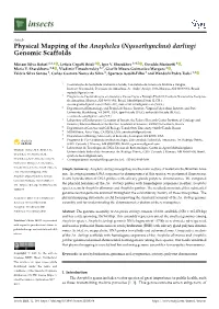 Physical Mapping of the Anopheles (Nyssorhynchus) Darlingi Genomic Scaffolds