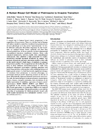 A Human Breast Cell Model of Preinvasive to Invasive Transition