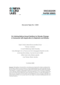 Discussion Paper Series